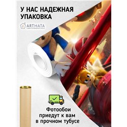 Фотообои детские для мальчиков соник 2 500х270 см моющиеся