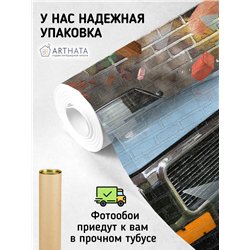 Фотообои в детскую кирпичная стена граффити 500х270 см моющиеся