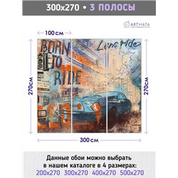 Фотообои в коридор граффити коллаж машина 300х270 см интерьерные