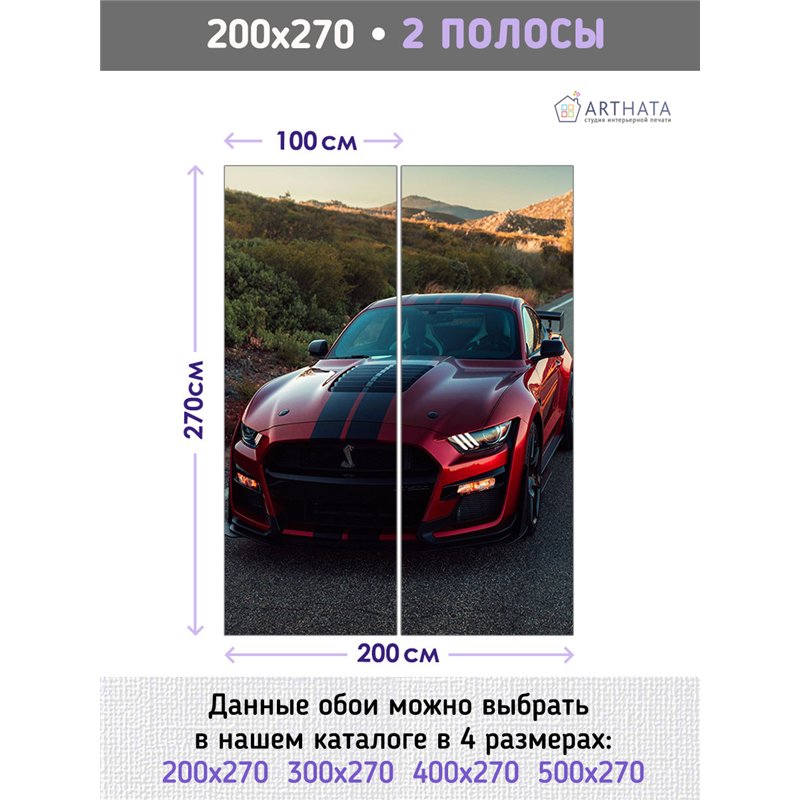 Фотообои красная машина на дороге 200х270 см для спальни