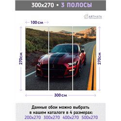 Фотообои красная машина на дороге 300х270 см для кухни