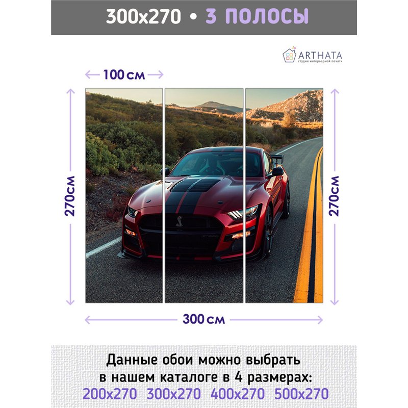Фотообои красная машина на дороге 300х270 см для кухни