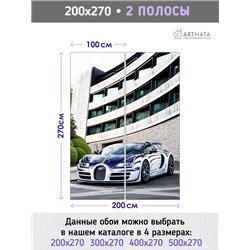 Фотообои в прихожую машина дорога пейзаж 200х270 см моющиеся