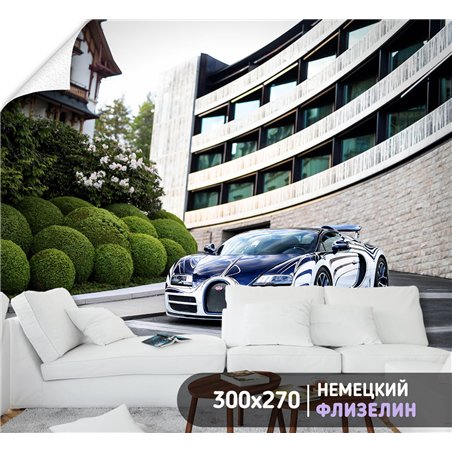 Фотообои для зала машина дорога пейзаж 300х270 см интерьерные