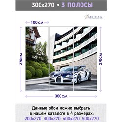 Фотообои для зала машина дорога пейзаж 300х270 см интерьерные