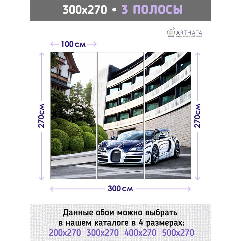 Фотообои для зала машина дорога пейзаж 300х270 см интерьерные
