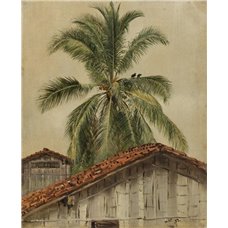 Картина на холсте по фото Модульные картины Печать портретов на холсте Эквадор, пальма
