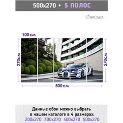 Фотообои на стену машина дорога пейзаж 500х270 см для зала