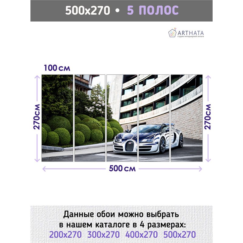 Фотообои на стену машина дорога пейзаж 500х270 см для зала