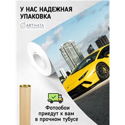 Фотообои ламборгини желтая 300х270 см в коридор