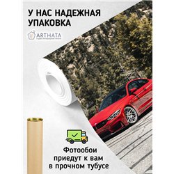 Фотообои для спальни красная машина 300х270 см моющиеся