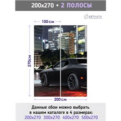 Фотообои в коридор машина ночной город 200х270 см интерьерные
