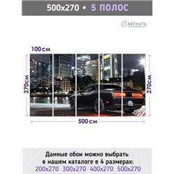 Фотообои машина ночной город 500х270 см для спальни