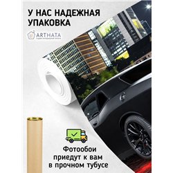 Фотообои машина ночной город 500х270 см для спальни