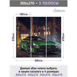 Фотообои зеленая машина 300х270 см моющиеся