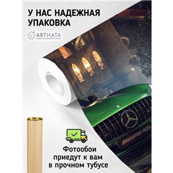 Фотообои зеленая машина 300х270 см моющиеся