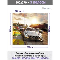 Фотообои на стену машины дорога закат 300х270 см интерьерные