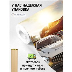 Фотообои на стену машины дорога закат 300х270 см интерьерные