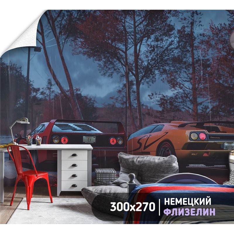 Фотообои в коридор гоночные машины 300х270 см флизелиновые с виниловым покрытием