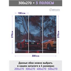 Фотообои в коридор гоночные машины 300х270 см флизелиновые с виниловым покрытием