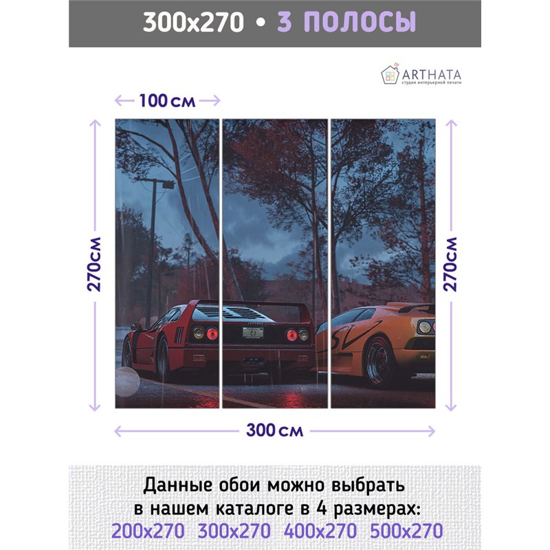 Фотообои в коридор гоночные машины 300х270 см флизелиновые с виниловым покрытием