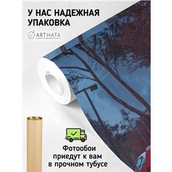 Фотообои в коридор гоночные машины 300х270 см флизелиновые с виниловым покрытием