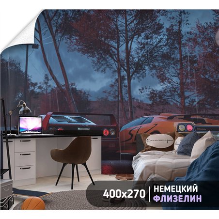 Фотообои в прихожую гоночные машины 400х270 см моющиеся