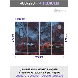 Фотообои в прихожую гоночные машины 400х270 см моющиеся