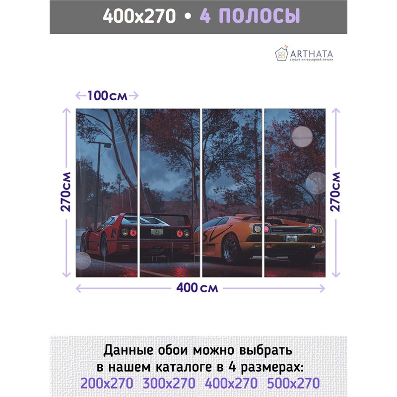 Фотообои в прихожую гоночные машины 400х270 см моющиеся