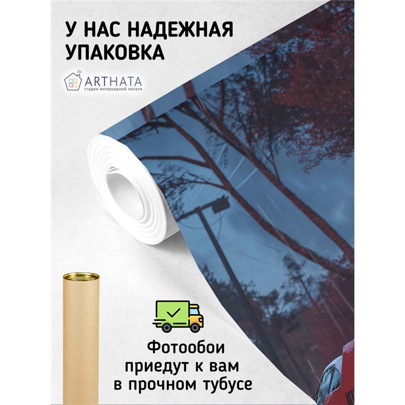 Фотообои в прихожую гоночные машины 400х270 см моющиеся