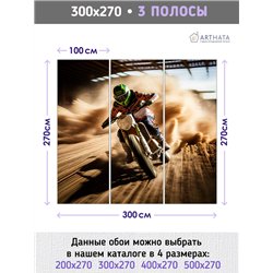 Фотообои гоночный мотоцыкл 300х270 см для зала