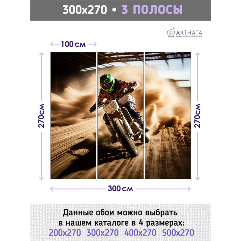 Фотообои гоночный мотоцыкл 300х270 см для зала