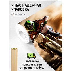 Фотообои гоночный мотоцыкл 300х270 см для зала