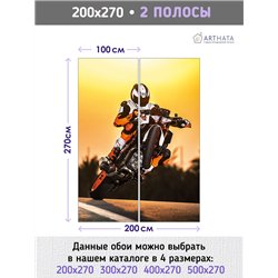 Фотообои для зала мотоцикл гонка 200х270 см моющиеся