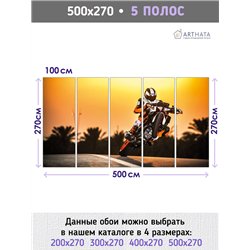 Фотообои в коридор мотоцикл гонка 500х270 см моющиеся