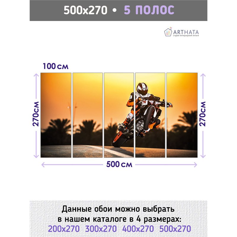 Фотообои в коридор мотоцикл гонка 500х270 см моющиеся