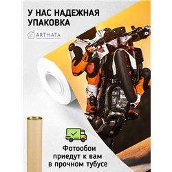 Фотообои в коридор мотоцикл гонка 500х270 см моющиеся