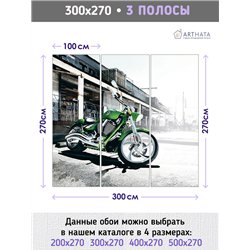 Фотообои метровые зеленый мотоцикл 300х270 см для оформления стен в гостиной