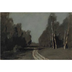 Дорога в лунную ночь