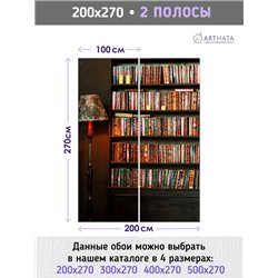 Фотообои книжные полки 200х270 см интерьерные