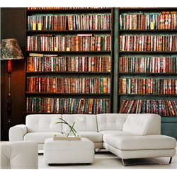 Фотообои книжные полки 200х270 см интерьерные