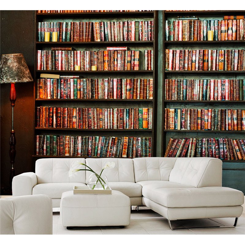 Фотообои книжные полки 200х270 см интерьерные