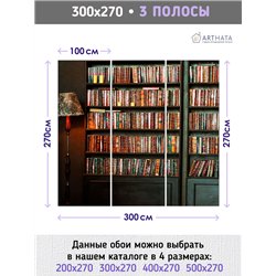 Фотообои книжные полки 300х270 см флизелиновые с виниловым покрытием
