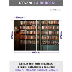 Фотообои книжные полки 400х270 см для спальни