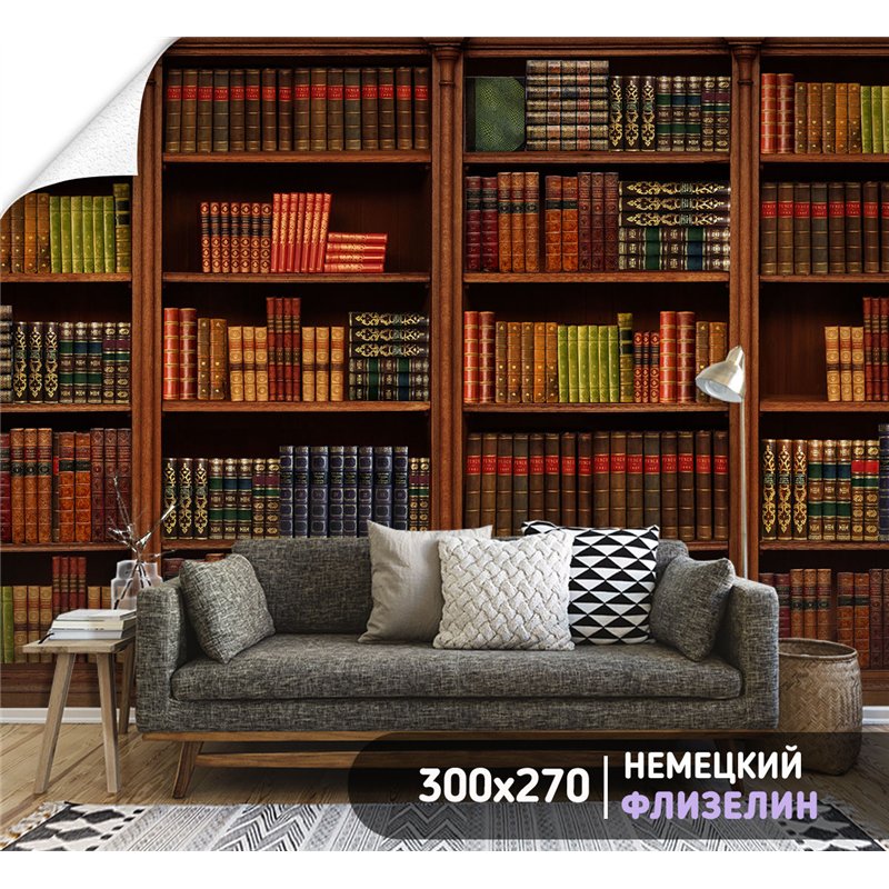 Фотообои книжные полки 300х270 см для оформления стен в гостиной