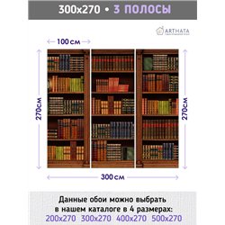 Фотообои книжные полки 300х270 см для оформления стен в гостиной