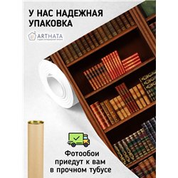 Фотообои книжные полки 300х270 см для оформления стен в гостиной