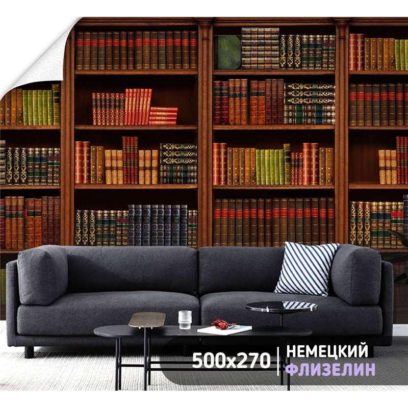 Фотообои книжные полки 500х270 см интерьерные