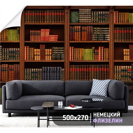Фотообои книжные полки 500х270 см интерьерные