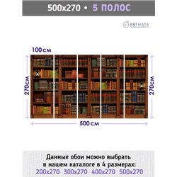 Фотообои книжные полки 500х270 см интерьерные